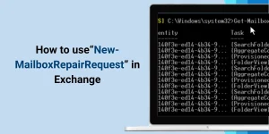 New-MailboxRepairRequest